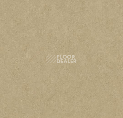 Линолеум Forbo Marmoleum Marbled Fresco 3890-389035 oat фото 1 | FLOORDEALER